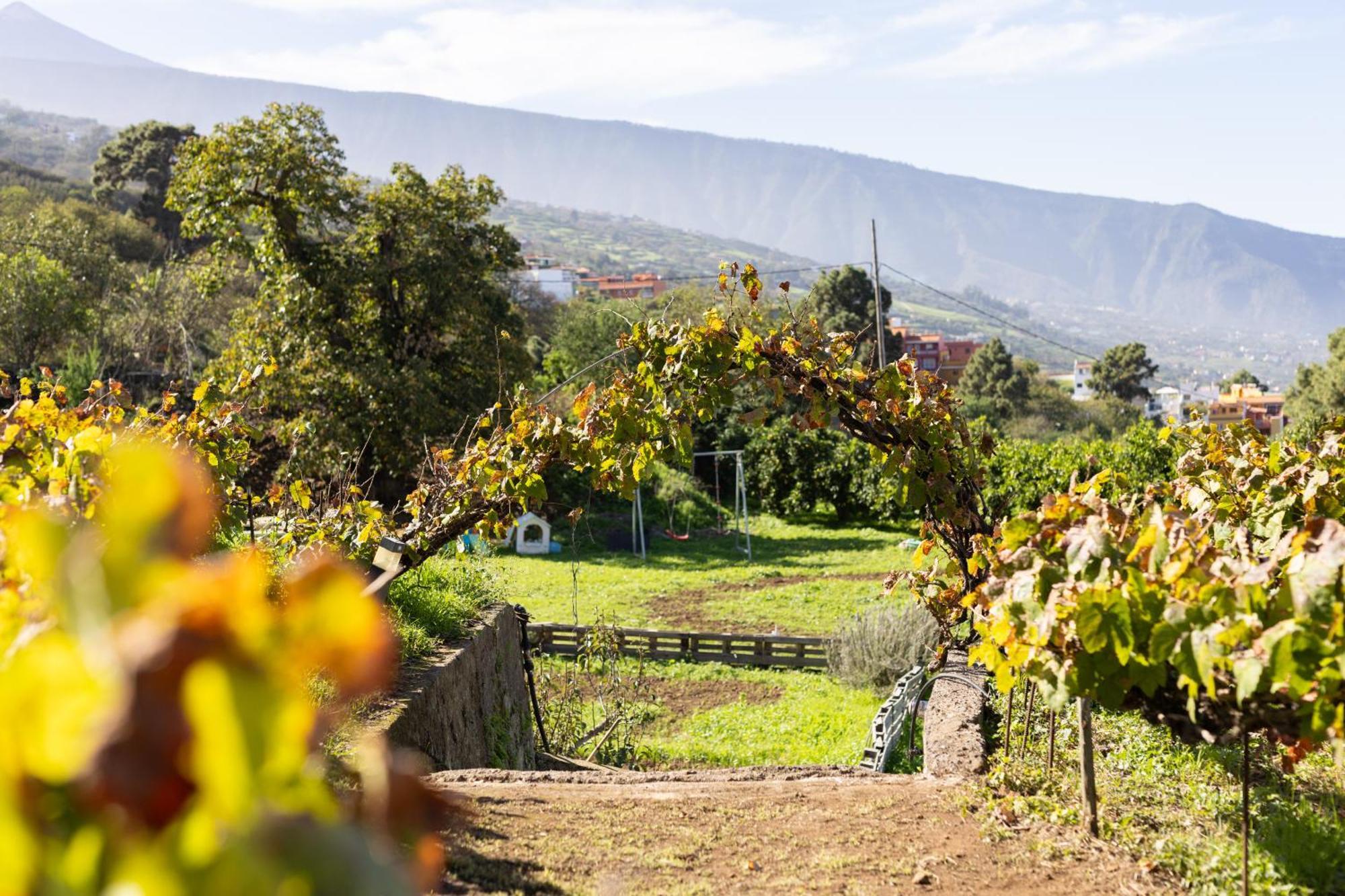לה אורוטבה Ek Las Vistas Finca El Milagro מראה חיצוני תמונה